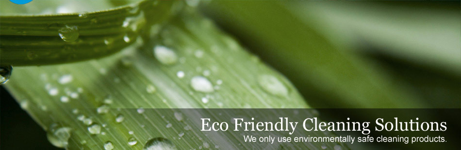 Eco Friendly Cleaning Solutions